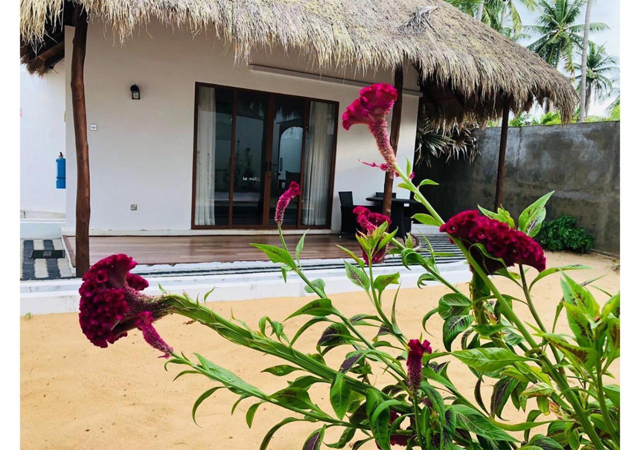 The Blue Lagoon Resort كالبيتيا المظهر الخارجي الصورة